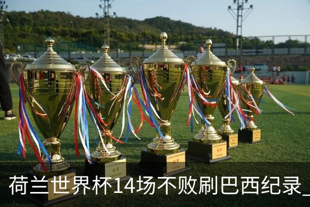 荷兰世界杯14场不败刷巴西纪录 小组赛35战2负从未出局