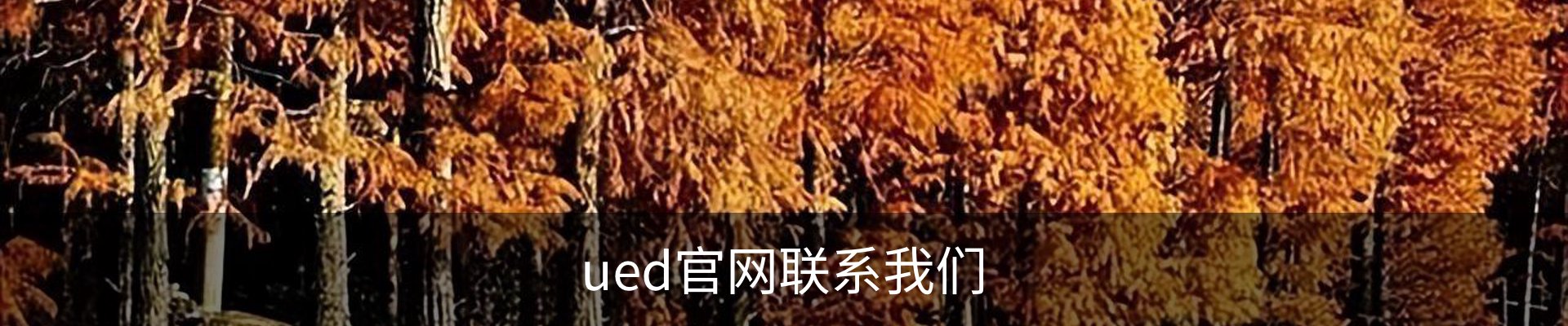 ued官网联系我们